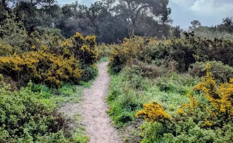 Read about her journey <a href="https://hikingthealps.com/fischerweg-portugal-erfahrung/" target="_blank">here</a>