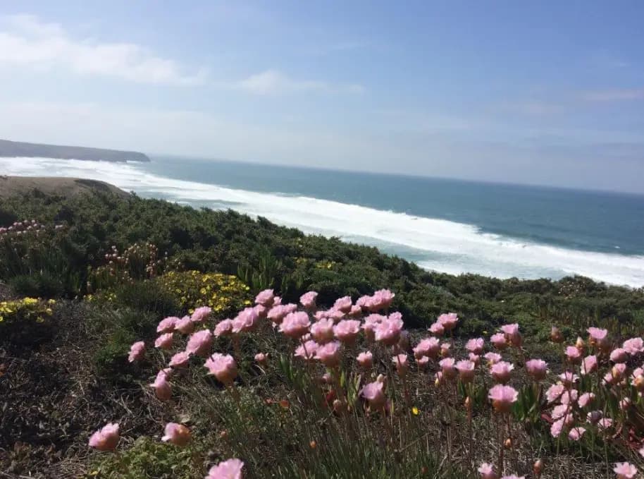 Check out their <a href="https://routinelynomadic.com/rota-vicentina-fishermens-trail-guide/" target="_blank">Fishermen's Trail guide</a>