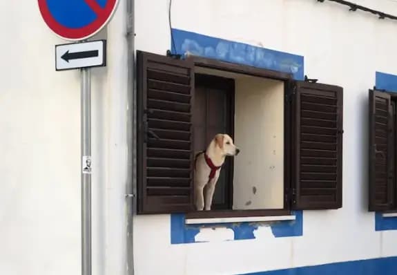 Check out her guide <a href="https://www.jadescapades.com/fishermens-trail-part-1/" target="_blank">here</a>