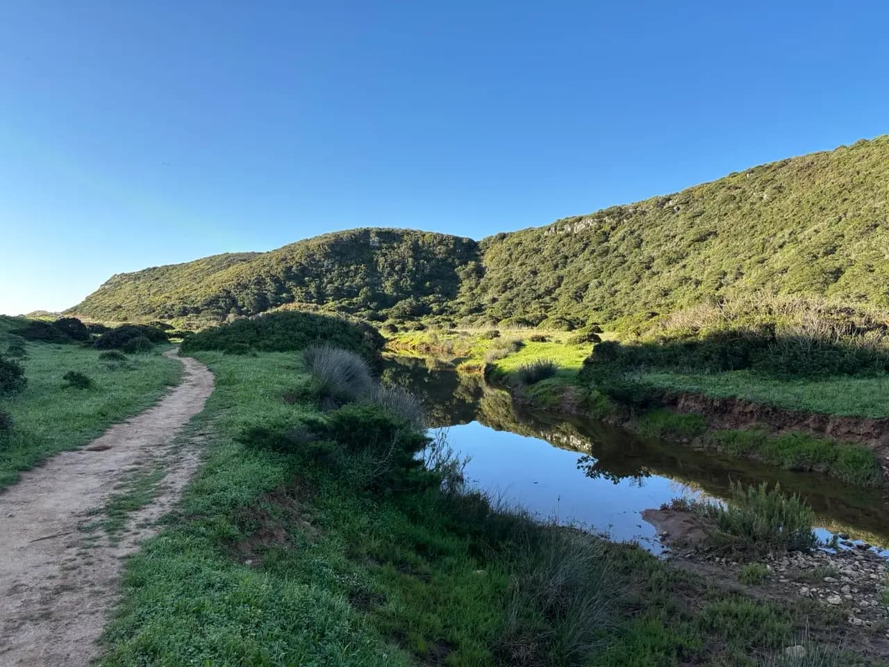 Green coastal trail between Sagres and Lagos
