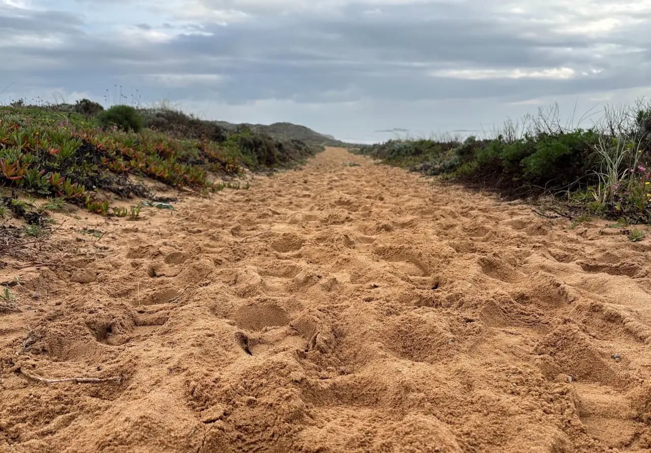 Sand on the Fishermen's Trail