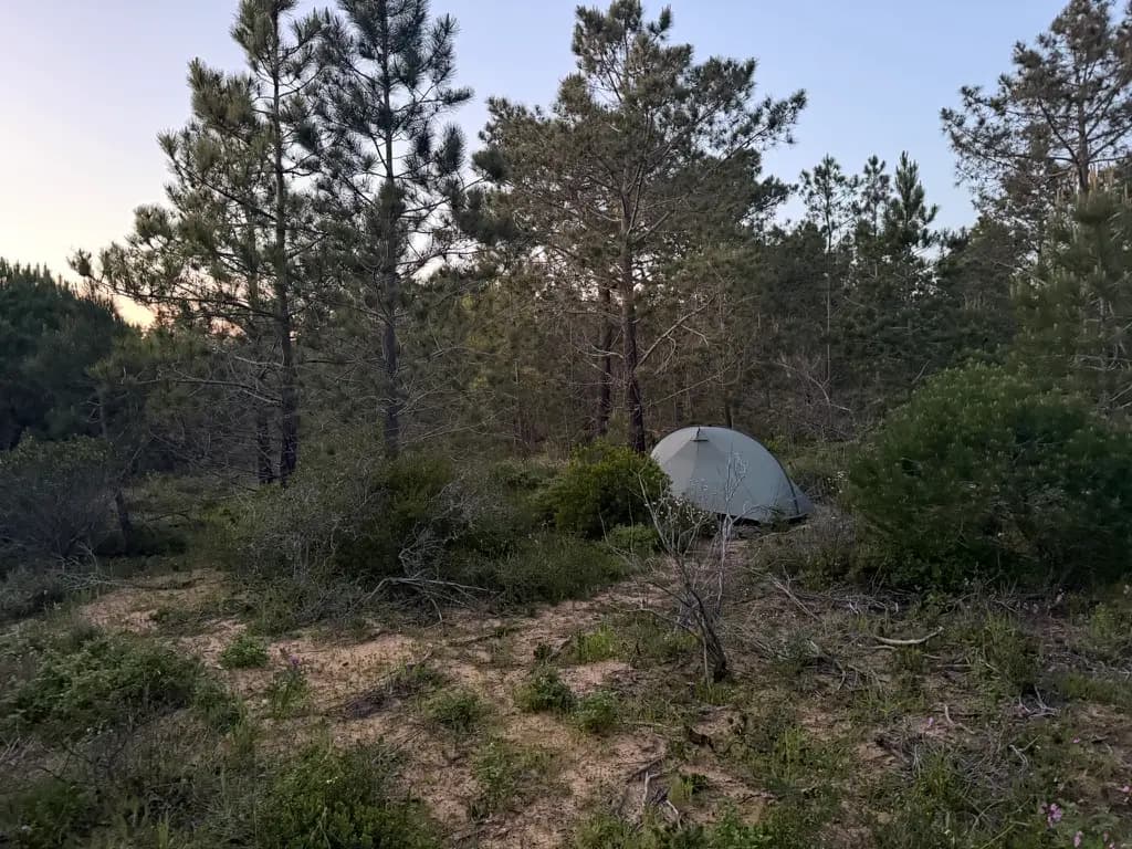 Lightweight tent pitched on the Fishermen's Trail with coastal scenery in the background
