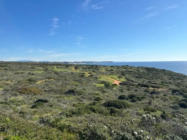 Sandy path through coastal vegetation with the Atlantic Ocean in the distance