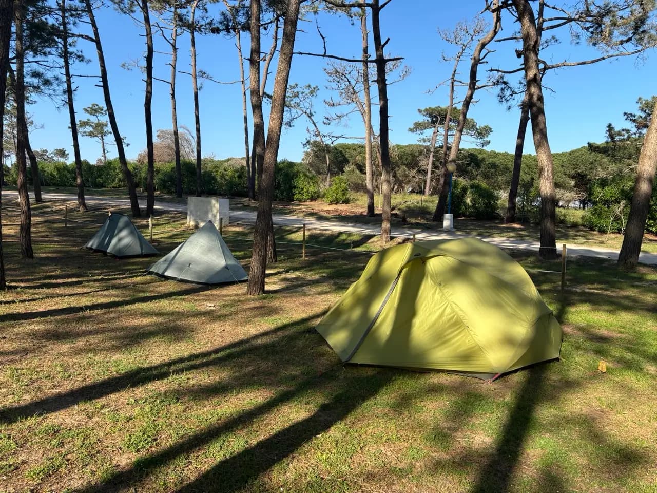 Tents pitched under pine trees at a campsite near Sagres on the Fishermen's Trail Tents pitched under pine trees at a campsite near Sagres on the Fishermen's Trail