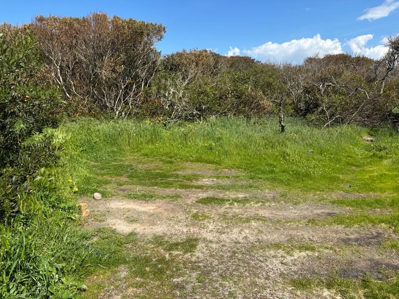 Quiet grassy and sandy flat surrounded by thick coastal bushes under a clear sky Quiet grassy and sandy flat surrounded by thick coastal bushes under a clear sky