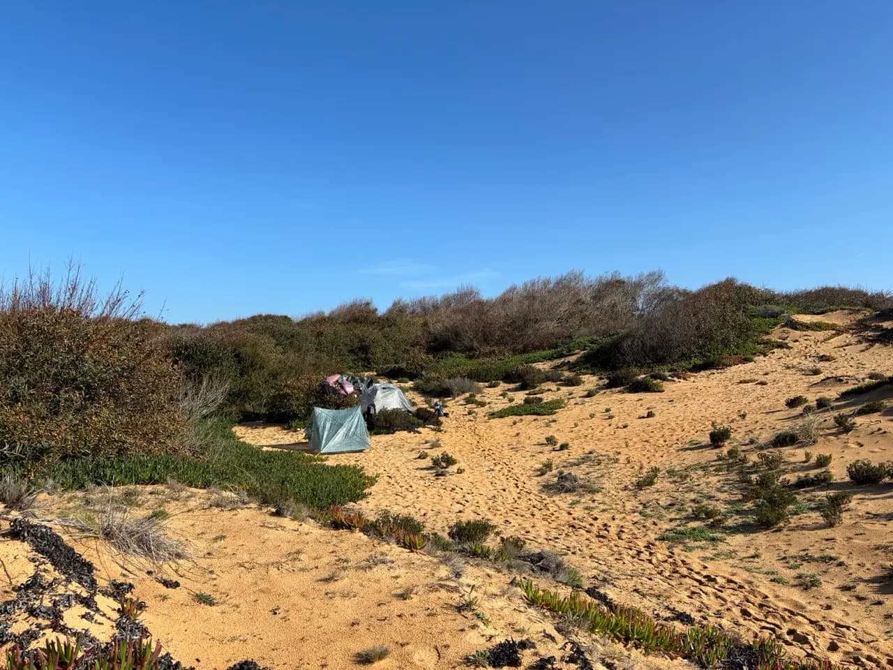 Two lightweight backpacking tents pitched in sandy scrub with coastal bushes behind them Two lightweight backpacking tents pitched in sandy scrub with coastal bushes behind them