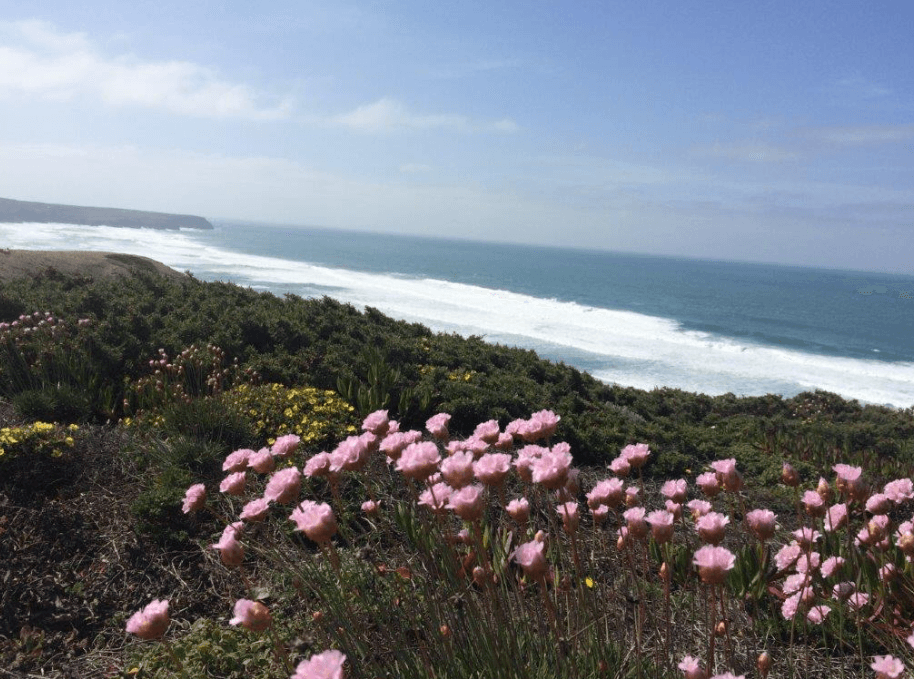 Check out their <a href="https://routinelynomadic.com/rota-vicentina-fishermens-trail-guide/" target="_blank">Fishermen's Trail guide</a>
